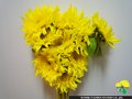 68 黄色八重